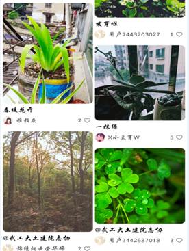 mk网页版登录入口