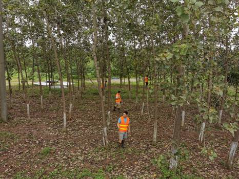 mk网页版登录入口