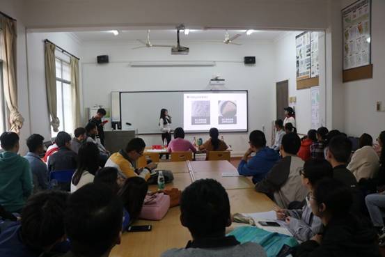 mk网页版登录入口